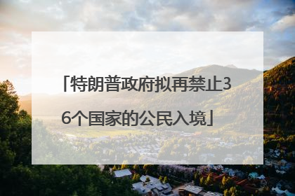 特朗普政府拟再禁止36个国家的公民入境