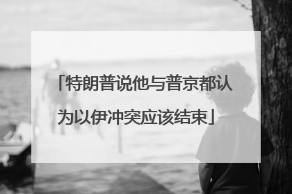 特朗普说他与普京都认为以伊冲突应该结束