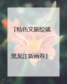 特色文旅绘就黑龙江新画卷