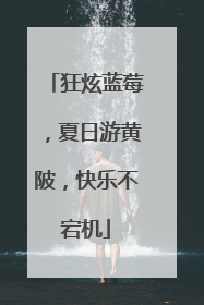狂炫蓝莓，夏日游黄陂，快乐不宕机
