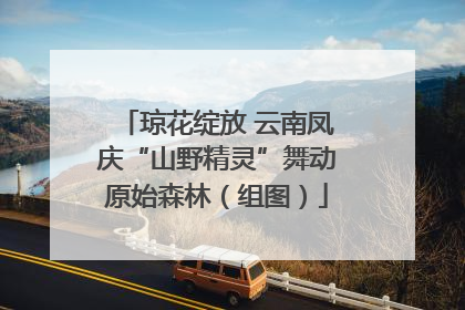 琼花绽放 云南凤庆“山野精灵”舞动原始森林（组图）