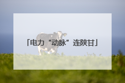 电力“动脉”连陕甘