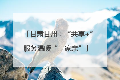 甘肃甘州：“共享+”服务温暖“一家亲”