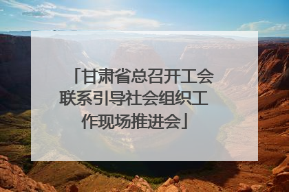 甘肃省总召开工会联系引导社会组织工作现场推进会