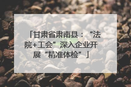 甘肃省肃南县：“法院+工会”深入企业开展“精准体检”