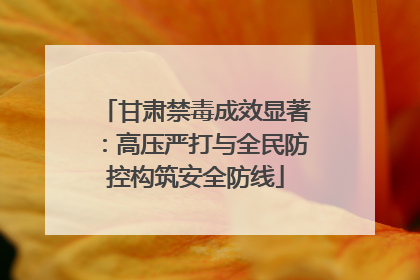 甘肃禁毒成效显著：高压严打与全民防控构筑安全防线