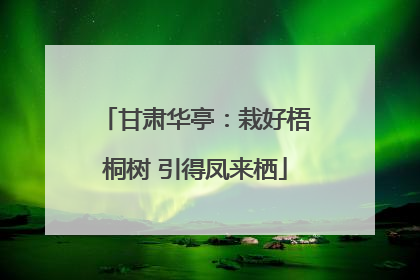 甘肃华亭：栽好梧桐树 引得凤来栖