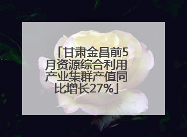 甘肃金昌前5月资源综合利用产业集群产值同比增长27%