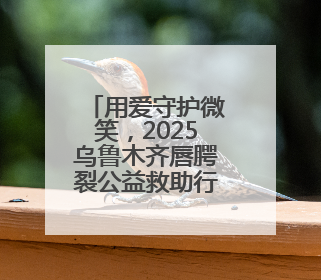 用爱守护微笑，2025乌鲁木齐唇腭裂公益救助行动落地