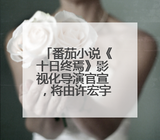番茄小说《十日终焉》影视化导演官宣，将由许宏宇执导