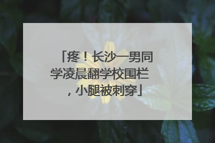 疼！长沙一男同学凌晨翻学校围栏，小腿被刺穿
