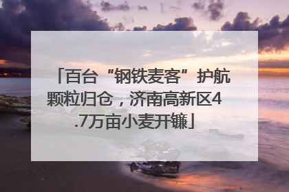 百台“钢铁麦客”护航颗粒归仓，济南高新区4.7万亩小麦开镰