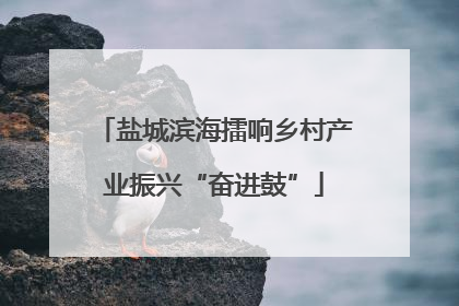 盐城滨海擂响乡村产业振兴“奋进鼓”