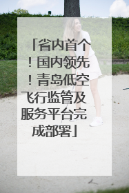 省内首个！国内领先！青岛低空飞行监管及服务平台完成部署