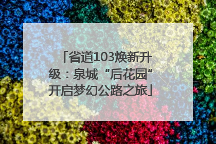 省道103焕新升级：泉城“后花园”开启梦幻公路之旅