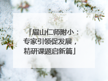 眉山仁师附小：专家引领促发展，精研课题启新篇