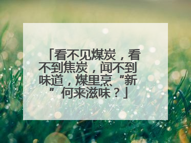 看不见煤炭，看不到焦炭，闻不到味道，煤里烹“新”何来滋味？