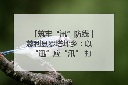 筑牢“汛”防线｜慈利县罗塔坪乡：以“迅”应“汛” 打赢暴雨防御战