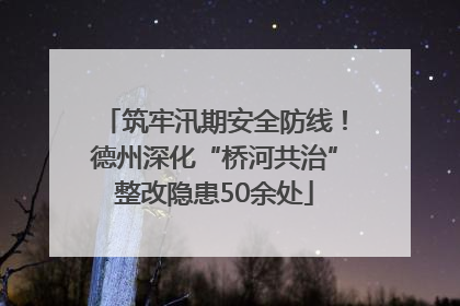 筑牢汛期安全防线！德州深化“桥河共治”整改隐患50余处