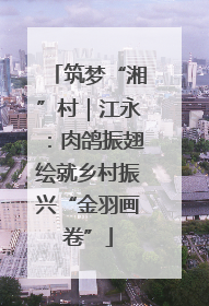 筑梦“湘”村｜江永：肉鸽振翅绘就乡村振兴“金羽画卷”