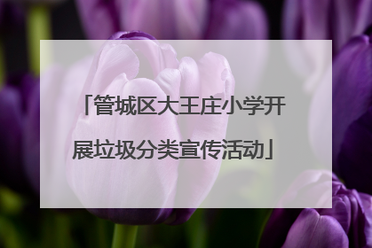 管城区大王庄小学开展垃圾分类宣传活动