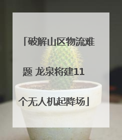 破解山区物流难题 龙泉将建11个无人机起降场