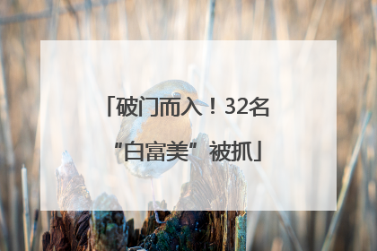 破门而入！32名“白富美”被抓