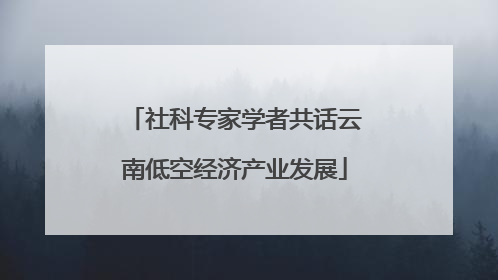 社科专家学者共话云南低空经济产业发展