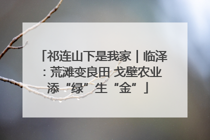 祁连山下是我家｜临泽：荒滩变良田 戈壁农业添“绿”生“金”