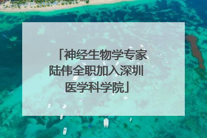 神经生物学专家陆伟全职加入深圳医学科学院