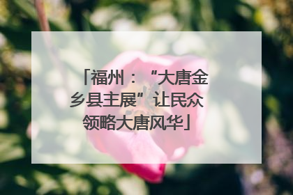 福州：“大唐金乡县主展”让民众领略大唐风华