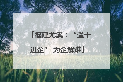 福建尤溪：“逢十进企” 为企解难