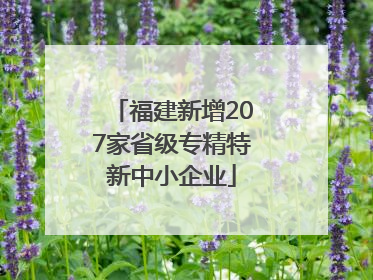 福建新增207家省级专精特新中小企业