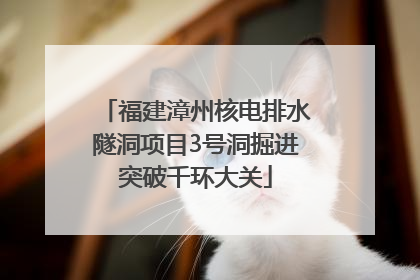 福建漳州核电排水隧洞项目3号洞掘进突破千环大关