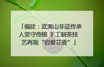 福建：武夷山非遗传承人坚守传统 手工制茶技艺再现“岩骨花香”