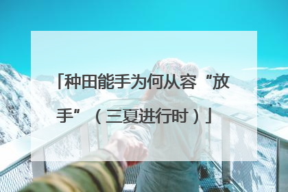 种田能手为何从容“放手”（三夏进行时）