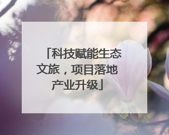 科技赋能生态文旅，项目落地产业升级