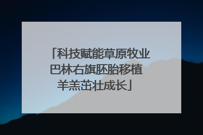 科技赋能草原牧业 巴林右旗胚胎移植羊羔茁壮成长