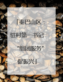 秦巴山区：驻村第一书记“组团服务”促振兴