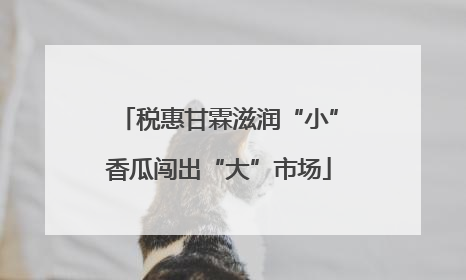 税惠甘霖滋润“小”香瓜闯出“大”市场