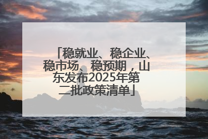 稳就业、稳企业、稳市场、稳预期，山东发布2025年第二批政策清单