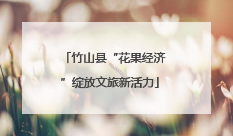 竹山县“花果经济”绽放文旅新活力