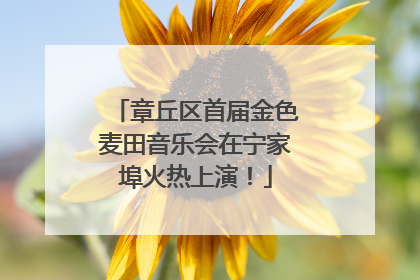 章丘区首届金色麦田音乐会在宁家埠火热上演！