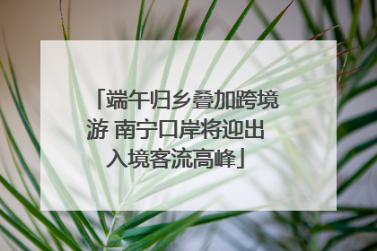端午归乡叠加跨境游 南宁口岸将迎出入境客流高峰