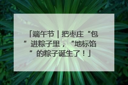 端午节｜把枣庄“包”进粽子里，“地标馅”的粽子诞生了！