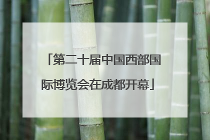 第二十届中国西部国际博览会在成都开幕