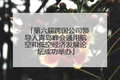第六届跨国公司领导人青岛峰会通用航空和低空经济发展论坛成功举办
