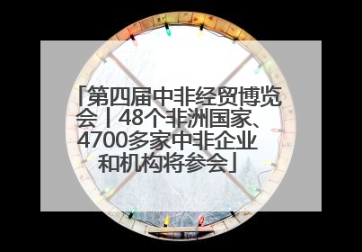 第四届中非经贸博览会丨48个非洲国家、4700多家中非企业和机构将参会