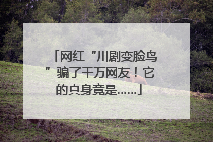 网红“川剧变脸鸟”骗了千万网友！它的真身竟是……