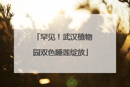 罕见！武汉植物园双色睡莲绽放